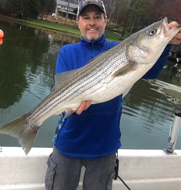 Full Guided Charter Service, Fishing for the “Ultimate” Striped Bass on  Beautiful Smith Mountain Lake, VA – SML Boat Rentals
